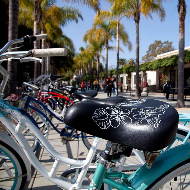 A row of bikes in a bike rack on campus